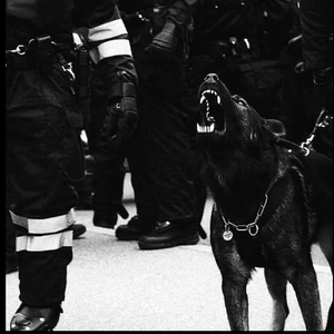 《魅魔之耻》1~4集免费看
